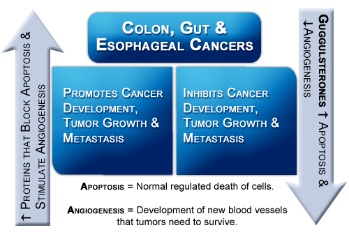 Table1_Colon_Gut_andEsphagealCancers